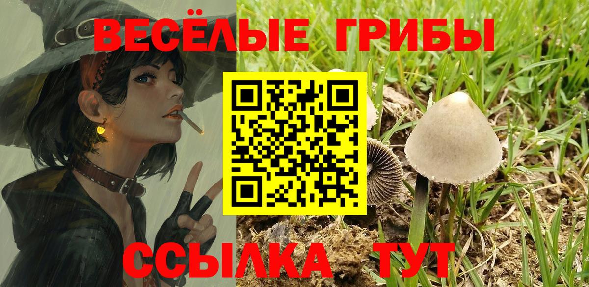 Псилоцибиновые грибы MAGIC MUSHROOMS  Вход с VPN  Кировск 